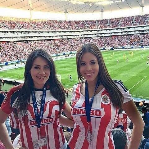 ติดต่อ UFABET