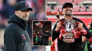 เว็บแทงบอล WIN